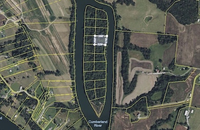 0 Lovells Island unit RTC2990756, Carthage, TN 37030 - photo 4