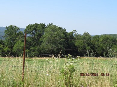 0000- Hwy 170 Devils Arkansas 170, West Fork, AR 72774 - photo 4