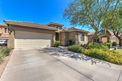 1167 N Cholla St-3