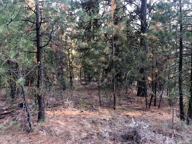 Gently Sloped, Wooded Lot