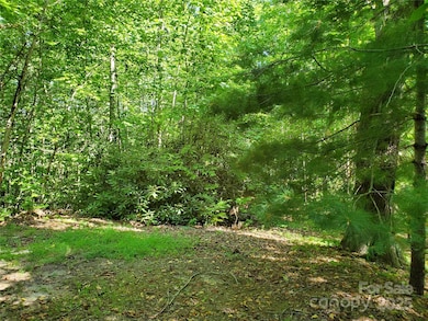 00 Staton Ridge Rd, Saluda, NC 28773 - photo 3