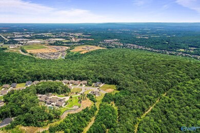 35.5 Acres Hawks Way NE, Huntsville, AL 35811 - photo 6