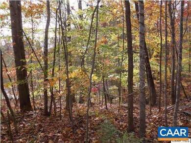 0 Pond Hollow Ln unit 569867, Nellysford, VA 22958 - photo 7