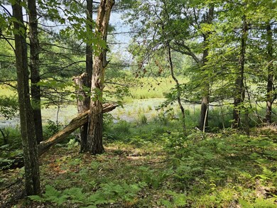 7022 Pot of Gold Rd, Danbury, WI 54830 - photo 7