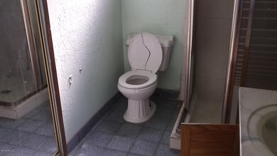 DSCF3870