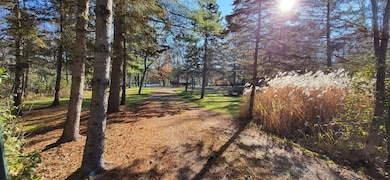 16993 197th St N, Marine On Saint Croix, MN 55047 - photo 3