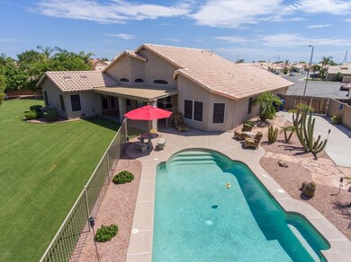 Backyard Oasis
