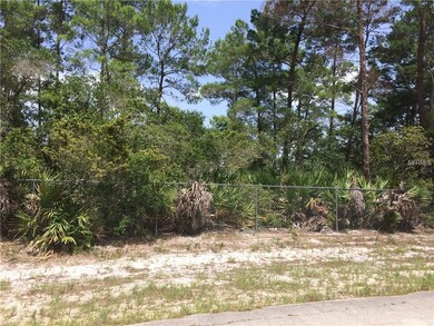 0 Ranchero Ct unit S4849981, Saint Cloud, FL 34771 - photo 2