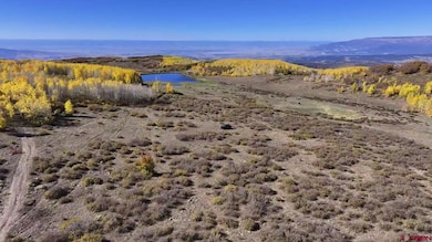 33339 Oak Mesa Rd, Hotchkiss, CO 81419 - photo 4