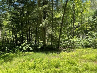 View of nature