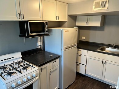 1329 1/2 Washington St, Davenport, IA 52804 - photo 3