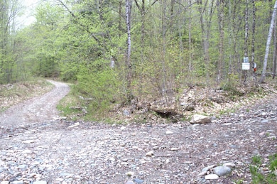 0 Mosquito Schoolhouse Rd unit 4951885, Newport, NH 03773 - photo 6