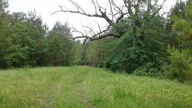 00 Mcentire Rd, Chatsworth, GA 30705 - photo 6