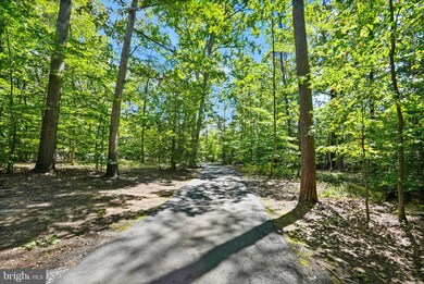 6040 Token Forest Dr, Manassas, VA 20112 - photo 3