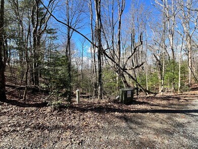 LOT 4LW Katydid Rd, Mineral Bluff, GA 30559 - photo 7