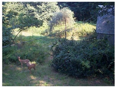 Exterior Back. Rear yard near barn with trail to s