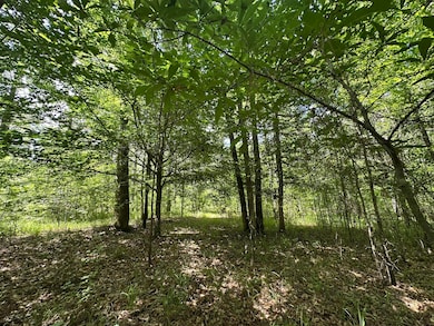 Lot 11 S Pointe Ct, Tignall, GA 30668 - photo 2