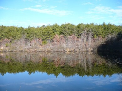 Pond 