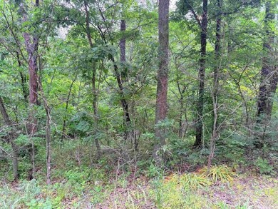 Highlander Place unit J 2, Edwards, MO 65326 - photo 3