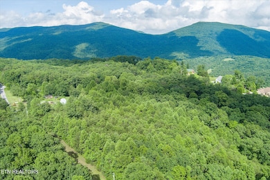 4-Lot 16 Browns Gap Rd_037_TNPC