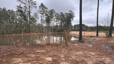 1284 Cheyenne Rd unit Lot 1, Conway, SC 29526 - photo 5