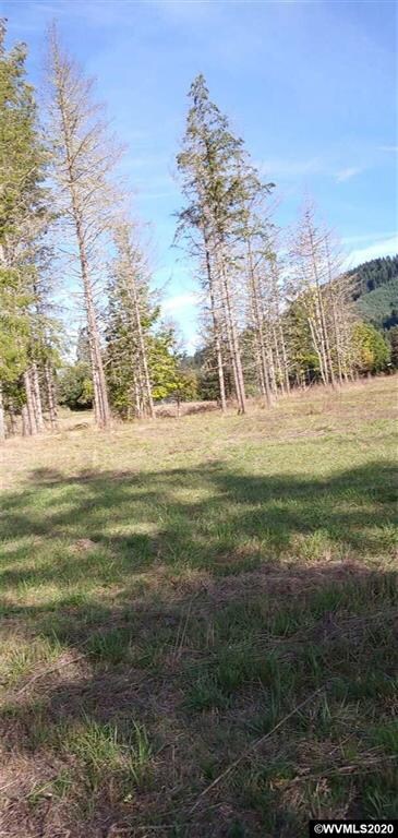 24322 Gellatly Way, Philomath, OR 97370 - photo 7