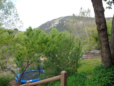 View From Back Yard