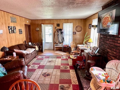 617 Railroad St, Chapin, IL 62628 - photo 2