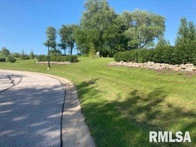 3829 229th Street Cir N, Port Byron, IL 61275 - photo 2