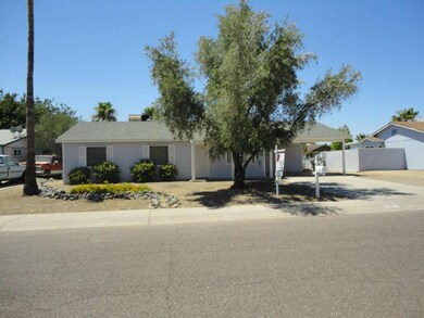 Large Lot