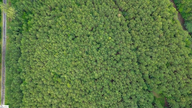 00 Shrine Club Rd, Waterloo, SC 29384 - photo 5