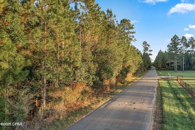 XXX Parrish Still Rd, Vernon, FL 32462 - photo 3