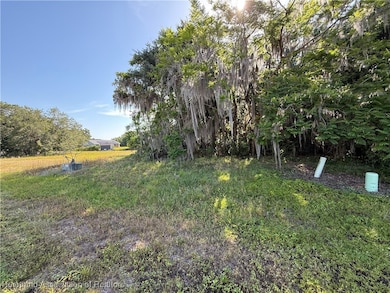 701 Ryan Rd, Sebring, FL 33876 - photo 3