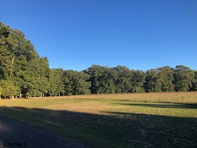 1401 Woodbine Rd, Woodbine, NJ 08270 - photo 3