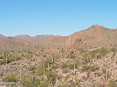 0 E Silver Tip Rd unit 6955485, Queen Valley, AZ 85118 - photo 7