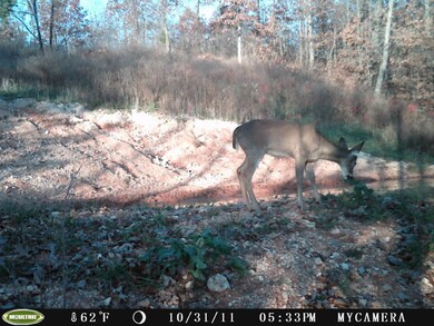78 acres Nov 2, 2011 443