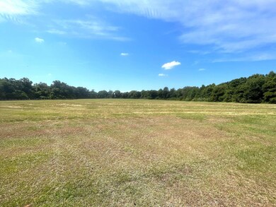 2075 Lowman Loop, Dozier, AL 36028 - photo 6