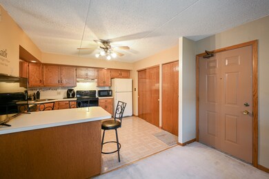 103 Caterpillar Dr unit 2D, Joliet, IL 60436 - photo 3