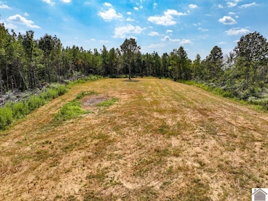 000 State Route 1433 unit Lookout Tower Ro, Salem, KY 42078 - photo 6