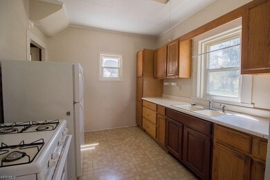 281 Chestnut St, Geneva, OH 44041 - photo 7