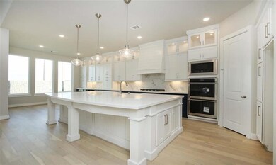 29818AutumnMaple222D0002
