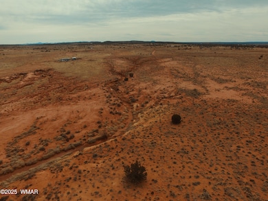 DJI_0003