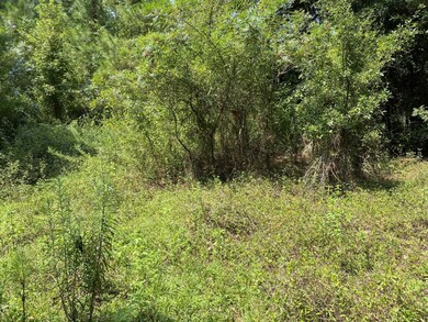 129 Richardson Rd, Crawfordville, FL 32327 - photo 2