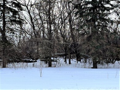 40519 Pine View Dr, Sauk Centre, MN 56378 - photo 5