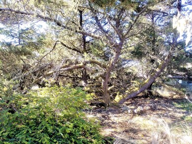 Interior of Lot