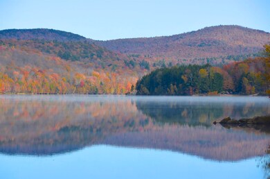 14 Oak Ln, Grantham, NH 03753 - photo 6