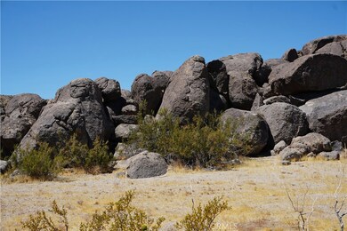 3000 Winfield Rd, Joshua Tree, CA 92252 - photo 3