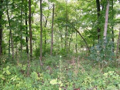 550 Normans Camp Rd, Harrodsburg, KY 40330 - photo 7