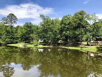 1230 County Road 274, Garrison, TX 75946 - photo 6