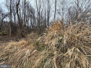 0 Peach Tree Rd unit MDMC2210762, Dickerson, MD 20842 - photo 3